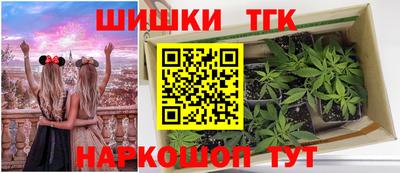 амф Новозыбков