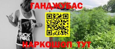 mdpv Новодвинск