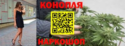 mdpv Новодвинск