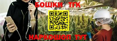 mdpv Новодвинск